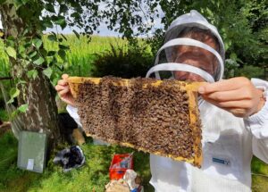 Engagement vor Ort - Bienenpatenschaft